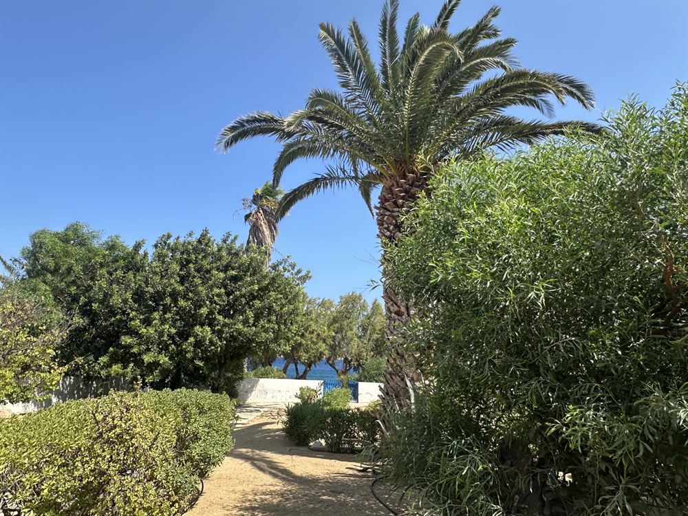 house_on_the_beach_ (5)